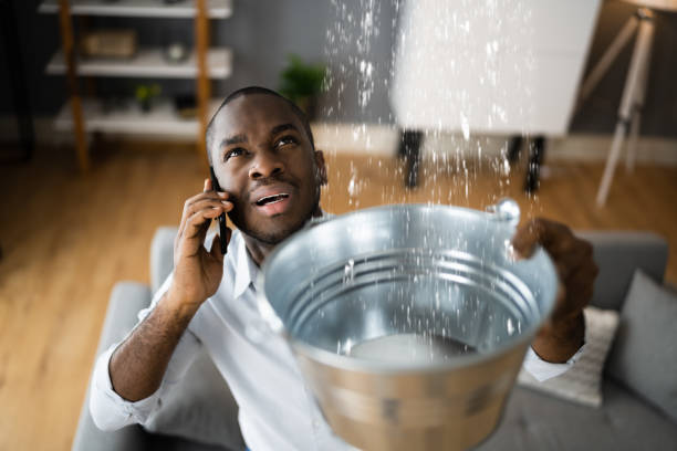 Best Flooded house restoration  in Whitesboro, NJ