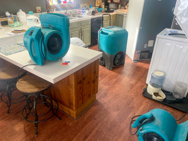 Best Local water damage restoration  in Whitesboro, NJ