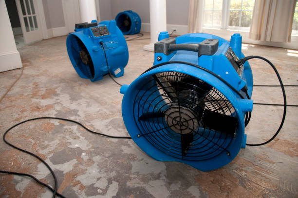 Best Water damage contractors near me  in Whitesboro, NJ