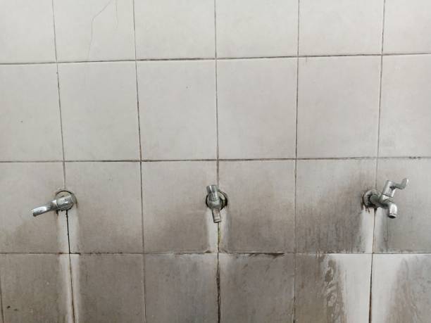 Best Water damage cleanup near me  in Whitesboro, NJ