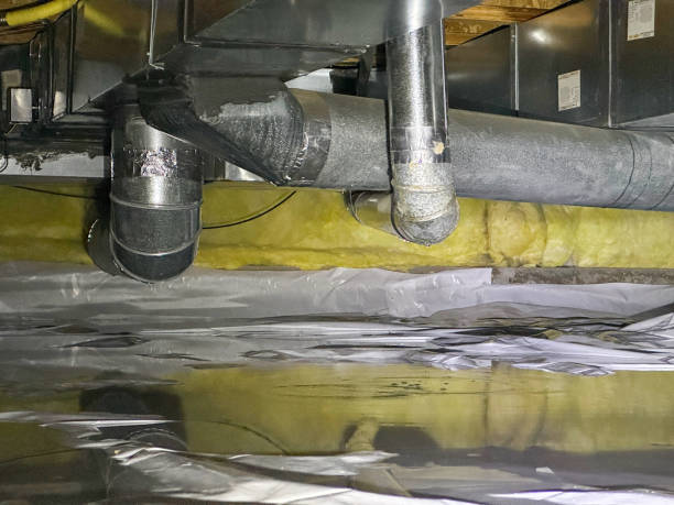Best Sewage cleanup and water damage restoration  in Whitesboro, NJ