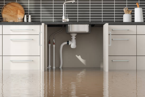 Best Flood damage cleanup  in Whitesboro, NJ