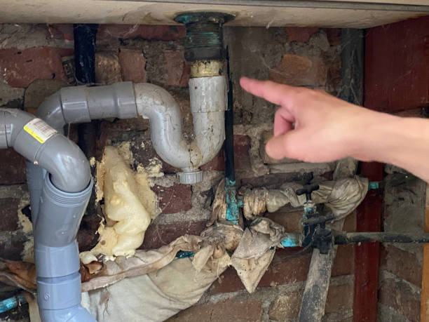 Best Basement water damage restoration  in Whitesboro, NJ