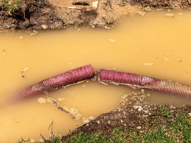 Best Emergency water extraction  in Whitesboro, NJ